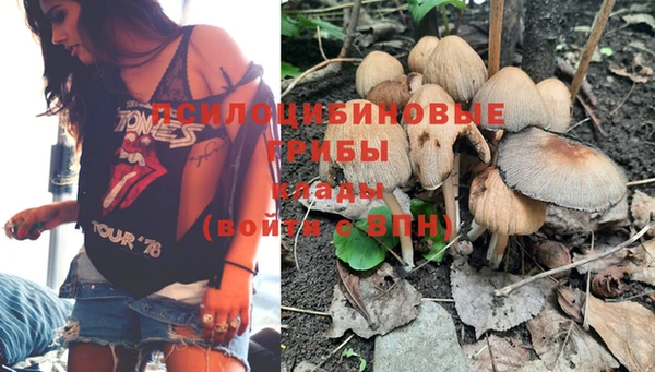 ПСИЛОЦИБИНОВЫЕ ГРИБЫ Пролетарск