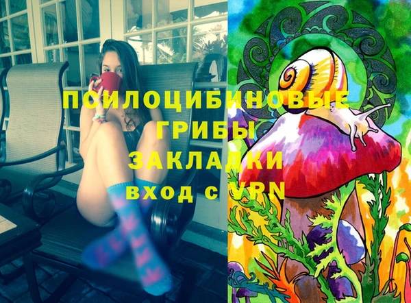 бошки Алексеевка