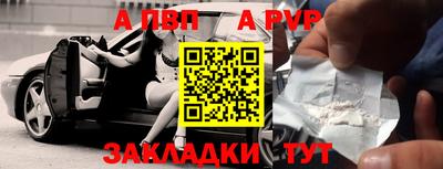 стафф Донской