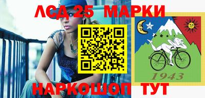 стафф Донской