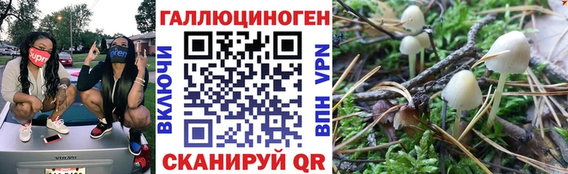 наркошоп  Мирный  Галлюциногенные грибы Cubensis 