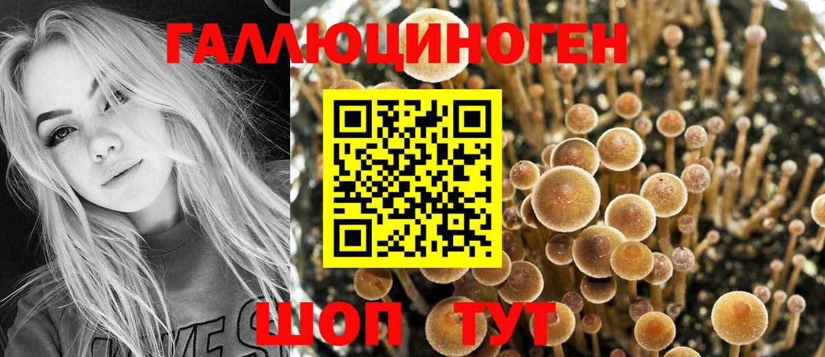 Псилоцибиновые грибы Magic Shrooms Мирный